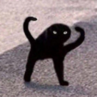 Photo du profil de l'utilisateur